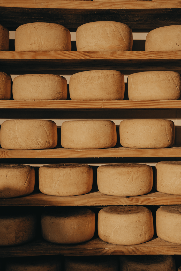 Une journée à la ferme